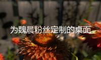 为魏晨粉丝定制的桌面