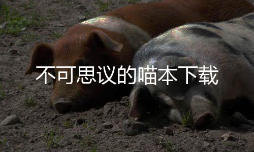 不可思议的喵本下载下载