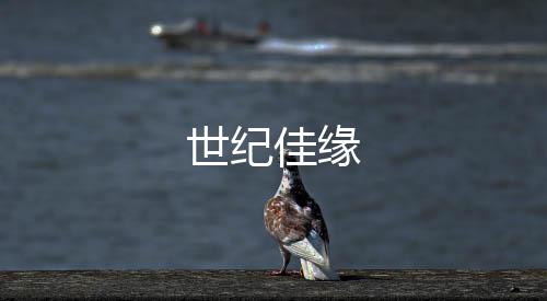 世纪佳缘下载