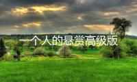 一个人的悬赏高级版