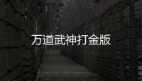 万道武神打金版