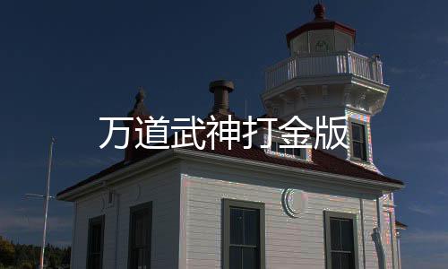 万道武神打金版下载