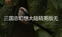 三国志幻想大陆精英版无双版
