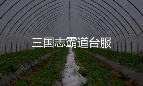 三国志霸道台服下载