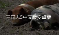 三国志5中文版安卓版