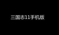 三国志11手机版