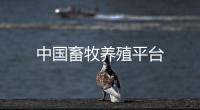 中国畜牧养殖平台