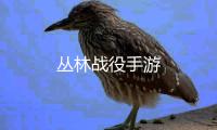 丛林战役手游