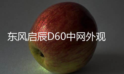 东风启辰D60中网外观改装配件D60 plus ev前脸铲保险杠专用装饰条下载