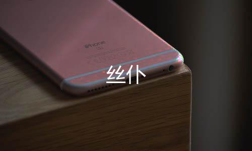 丝仆下载