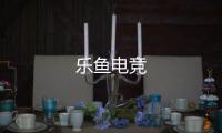 乐鱼电竞
