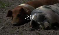 之後