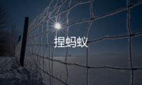 捏蚂蚁