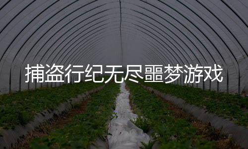 捕盗行纪无尽噩梦游戏下载
