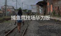 捕鱼竞技场华为版