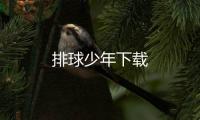 排球少年下载