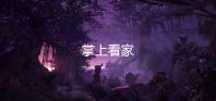 掌上看家