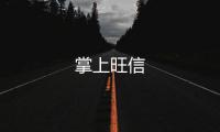 掌上旺信