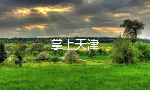 掌上天津下载