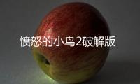 愤怒的小鸟2破解版