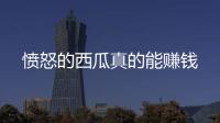 愤怒的西瓜真的能赚钱