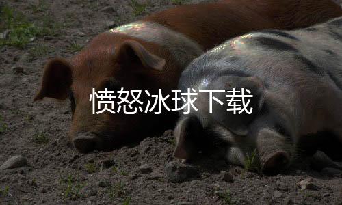愤怒冰球下载下载