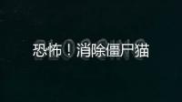 恐怖！消除僵尸猫