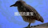 提词流量宝