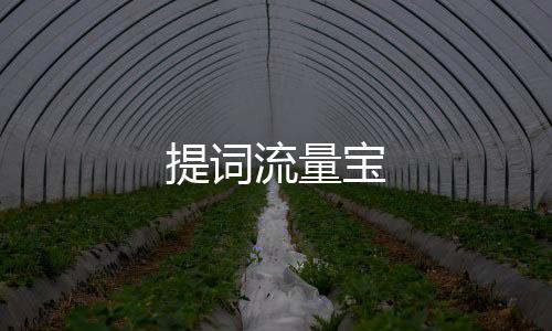 提词流量宝下载