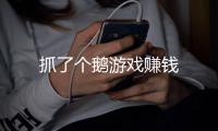 抓了个鹅游戏赚钱