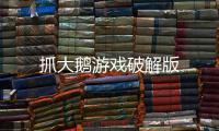 抓大鹅游戏破解版