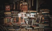 拳王争霸