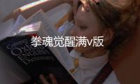拳魂觉醒满v版