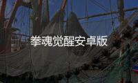 拳魂觉醒安卓版