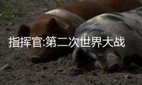 指挥官:第二次世界大战CommanderWW2完整版