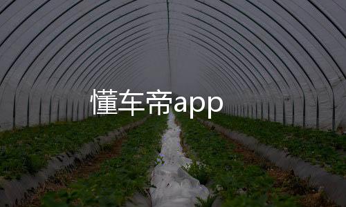 懂车帝app下载