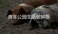 房车公园生活破解版
