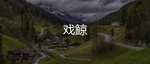 戏鲸下载