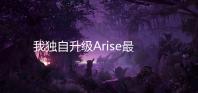 我独自升级Arise最新版本