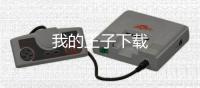 我的王子下载