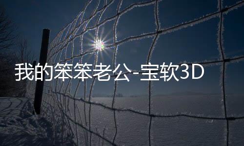 我的笨笨老公-宝软3D主题下载