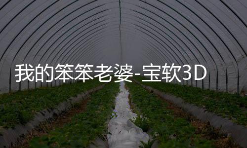 我的笨笨老婆-宝软3D主题下载