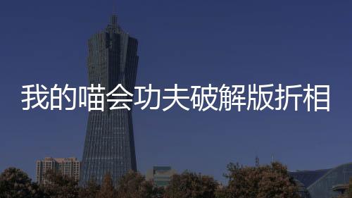 我的喵会功夫破解版折相思下载
