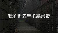 我的世界手机基岩版