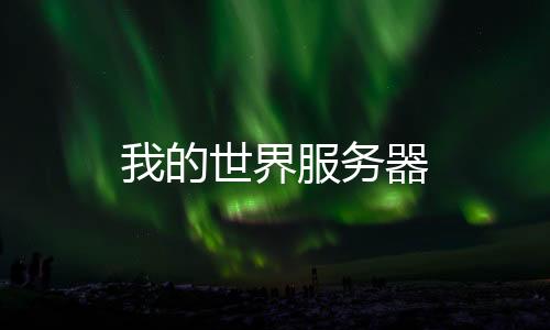 我的世界服务器下载