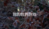 我的世界游戏