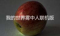 我的世界雾中人联机版