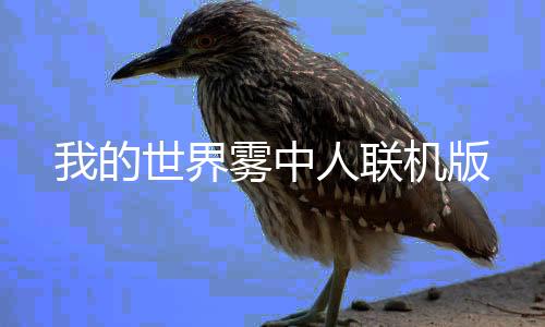 我的世界雾中人联机版下载