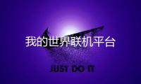 我的世界联机平台