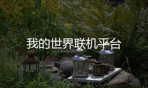我的世界联机平台下载